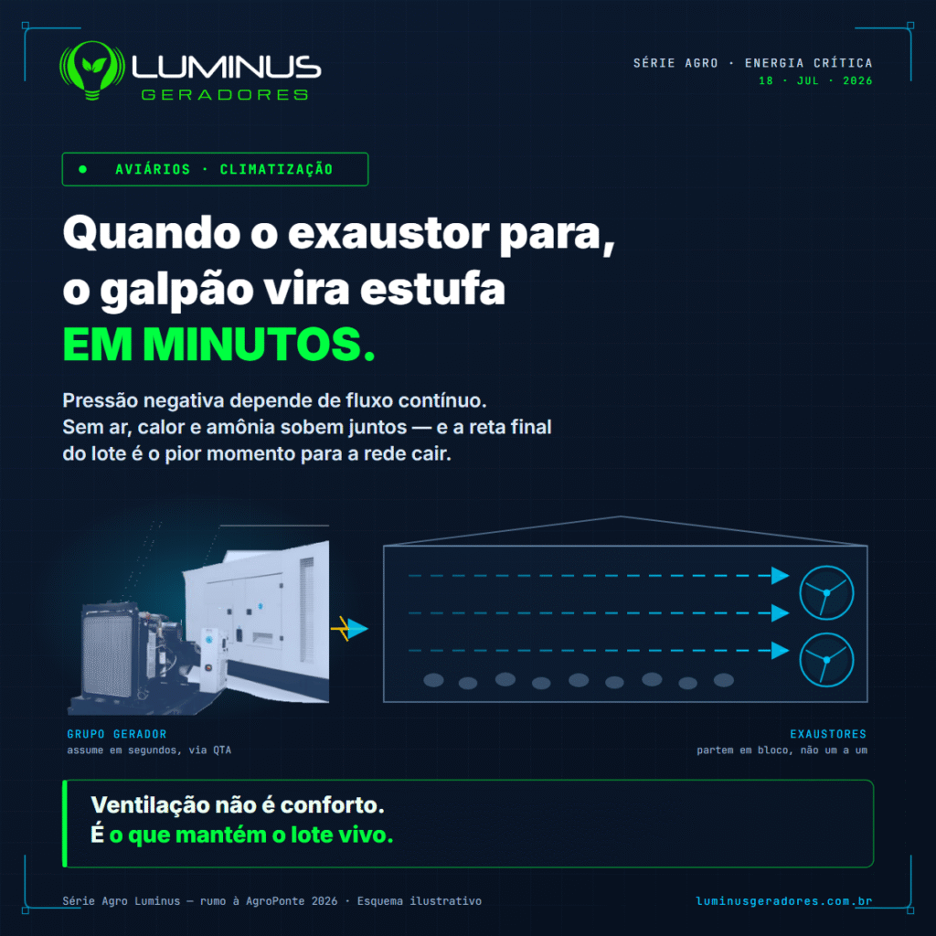 Energia para aviários: minutos sem ventilação custam o lote inteiro